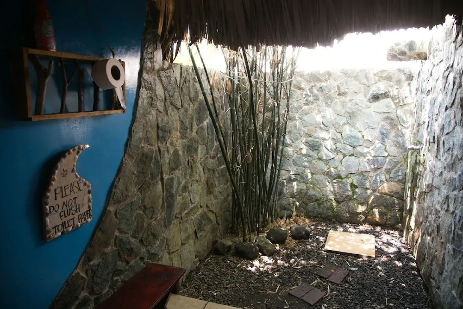 The Driftwood Surfer