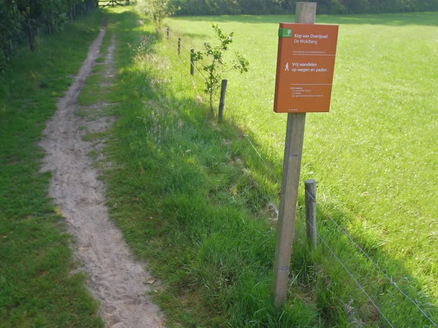 Cozy Home With Lots of Privacy, in the Forest