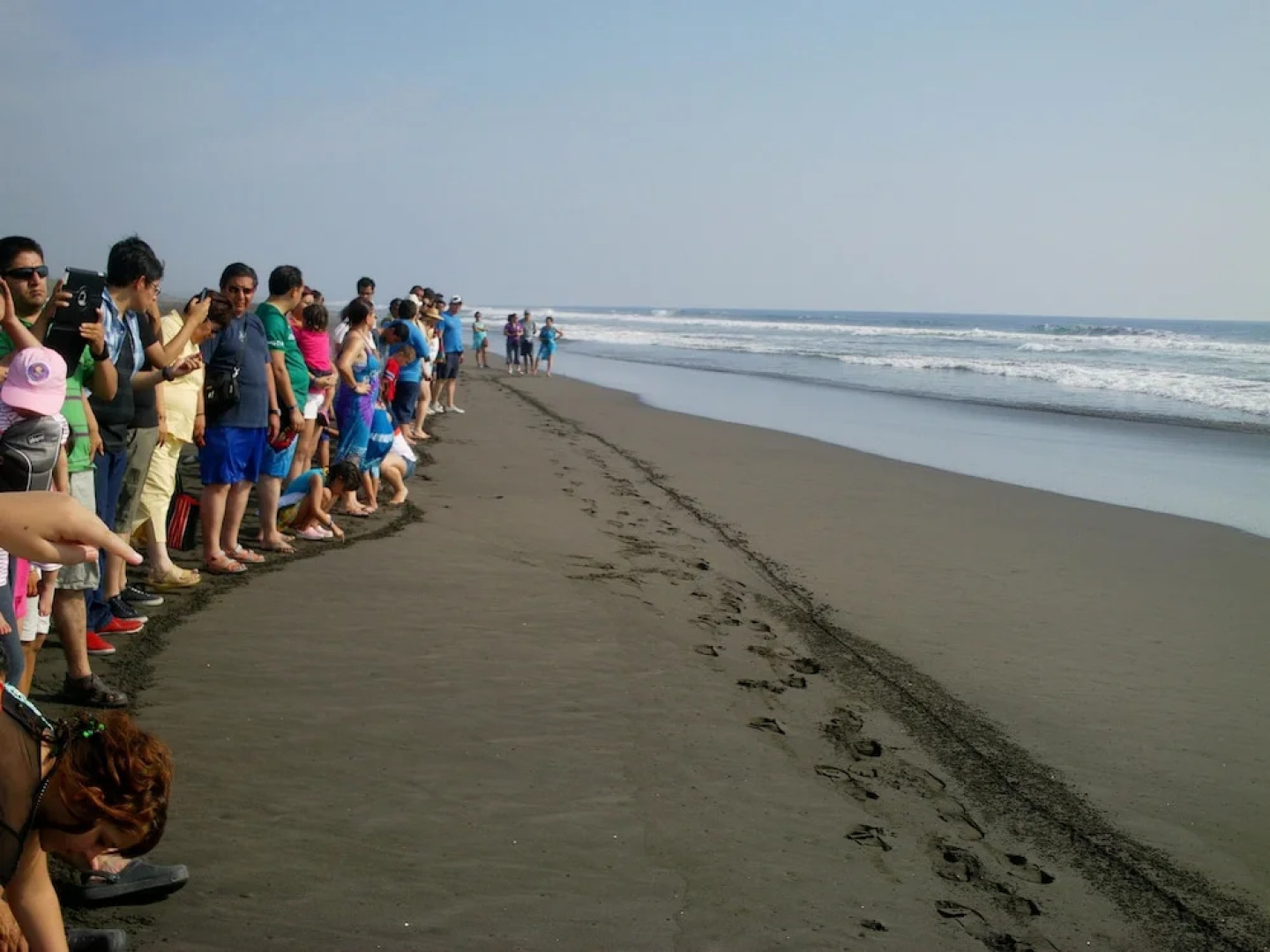 Best Western Plus Hotel Ceballos