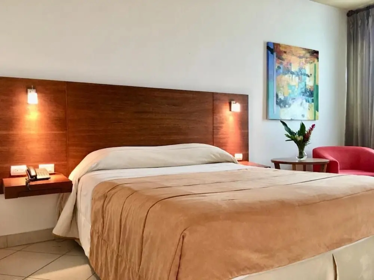 Hotel Palmar del Sol