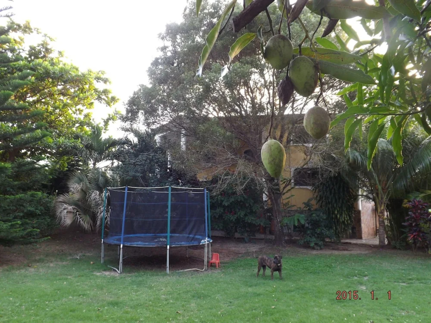 Four Bedroom Villa with Private Pool, Ocean View