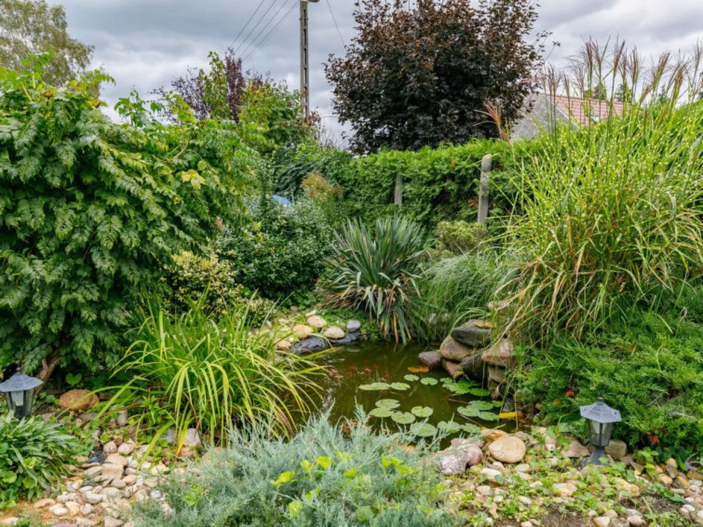 Nádor (FOD125) 43094