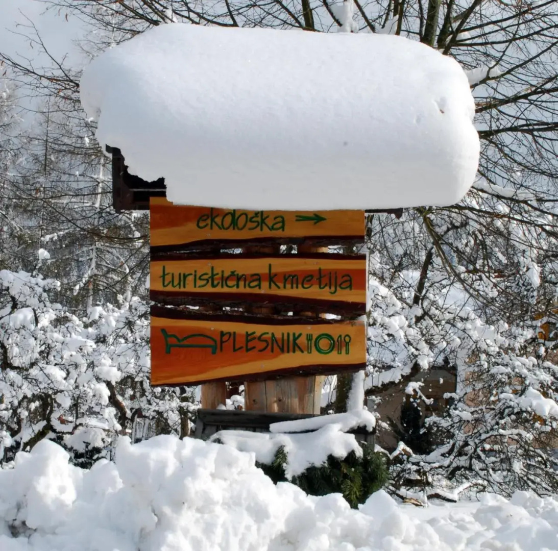 Farm Stay Rotovnik - Plesnik