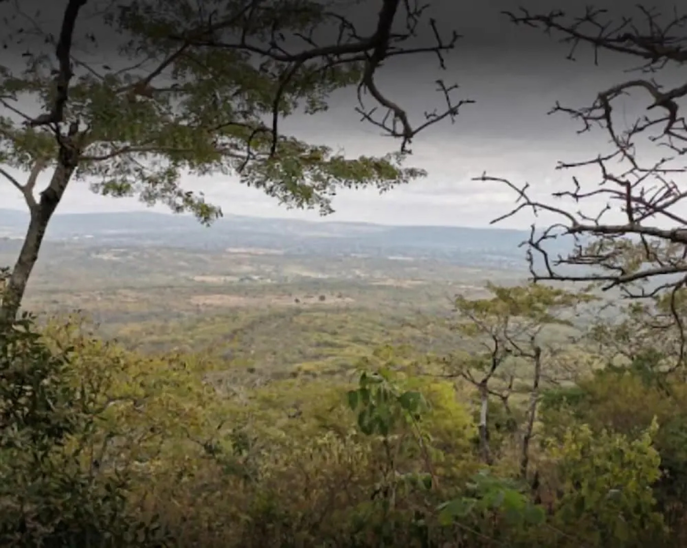 Royal Village Hotel Company