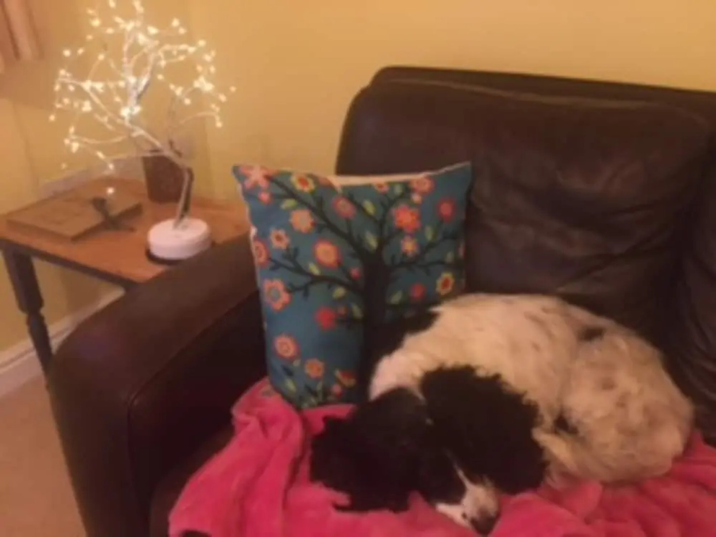 Stunning Lake District Cottage