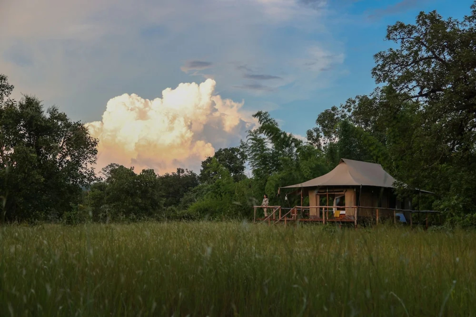 The Untamed Bandhavgarh by TUTC