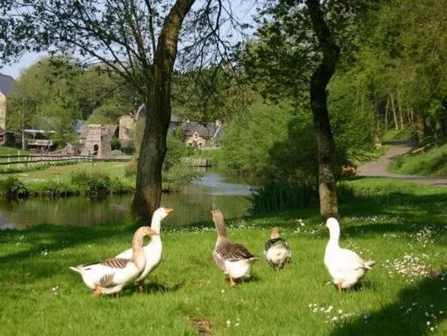 La Maison Des Lamour