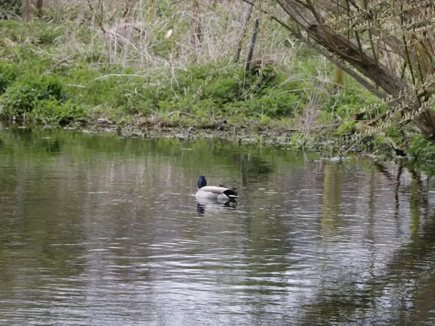 The Courtyard - Hilltop Barn
