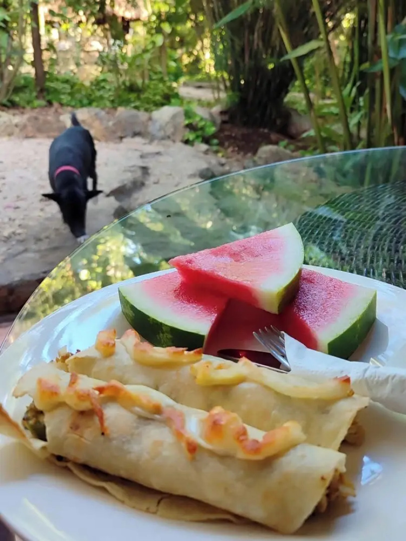 Genesis Eco-Oasis Ek Balam