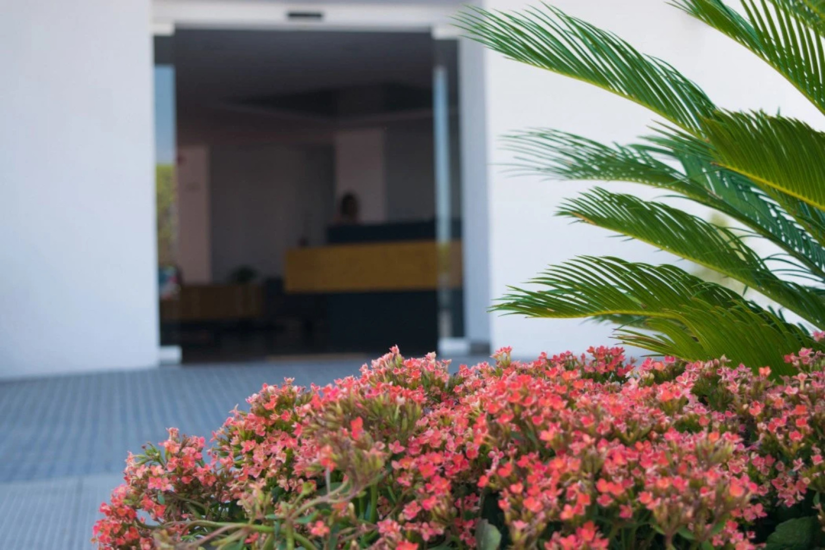 Hotel Barante Suites