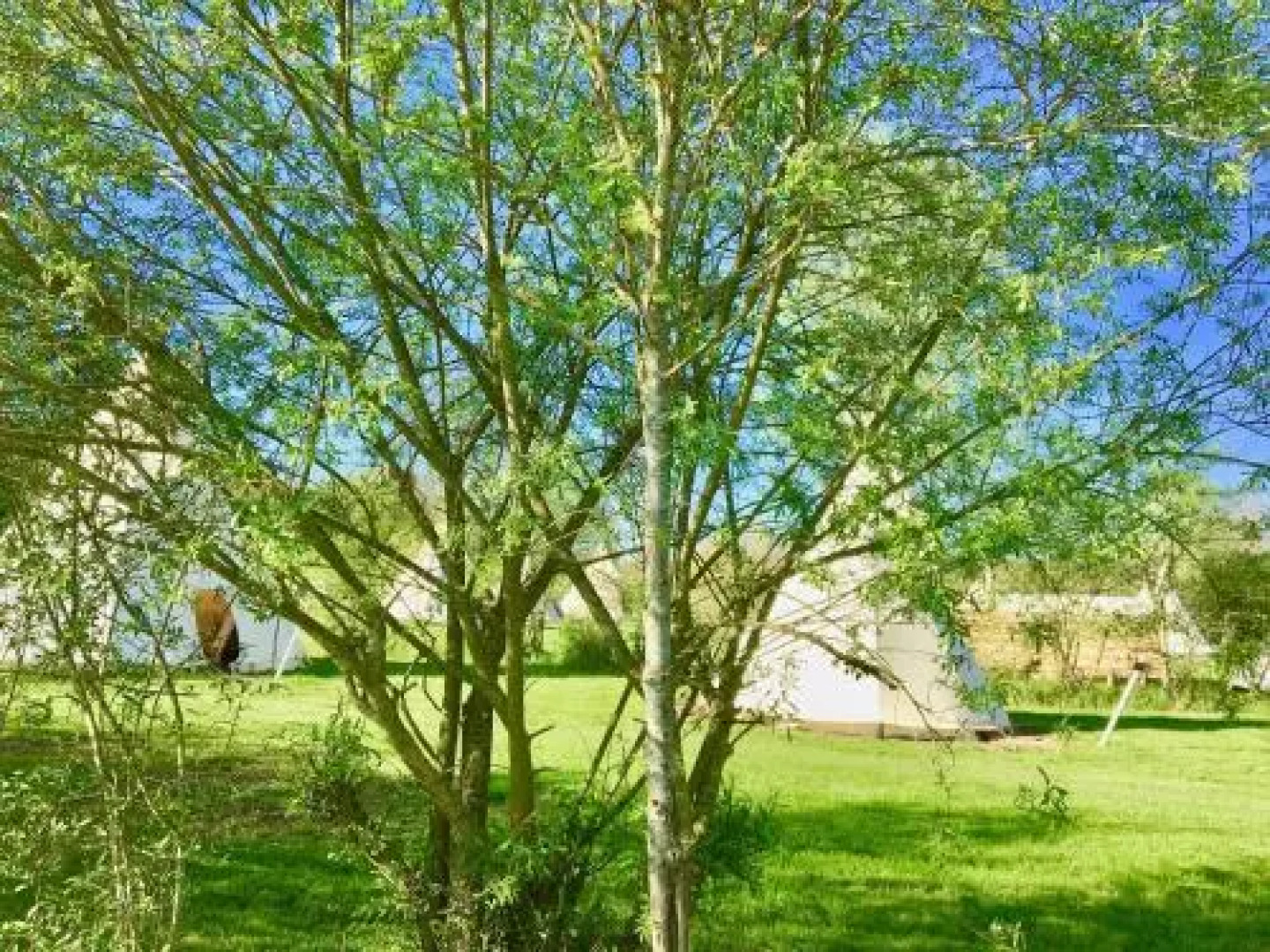 Les Tipis du Bonheur de Vivre