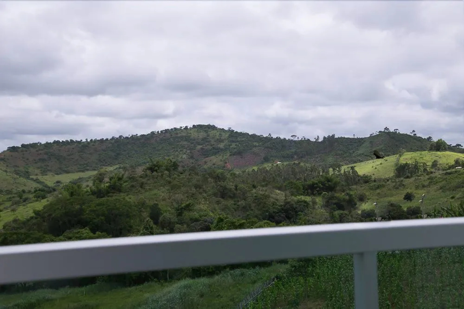 Peçanha Grande Hotel