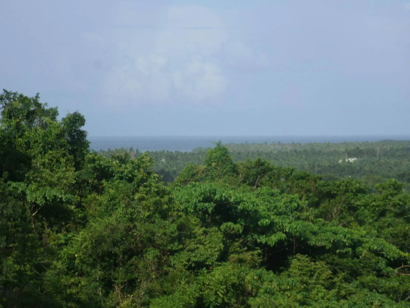 Clave Verde Ecolodge