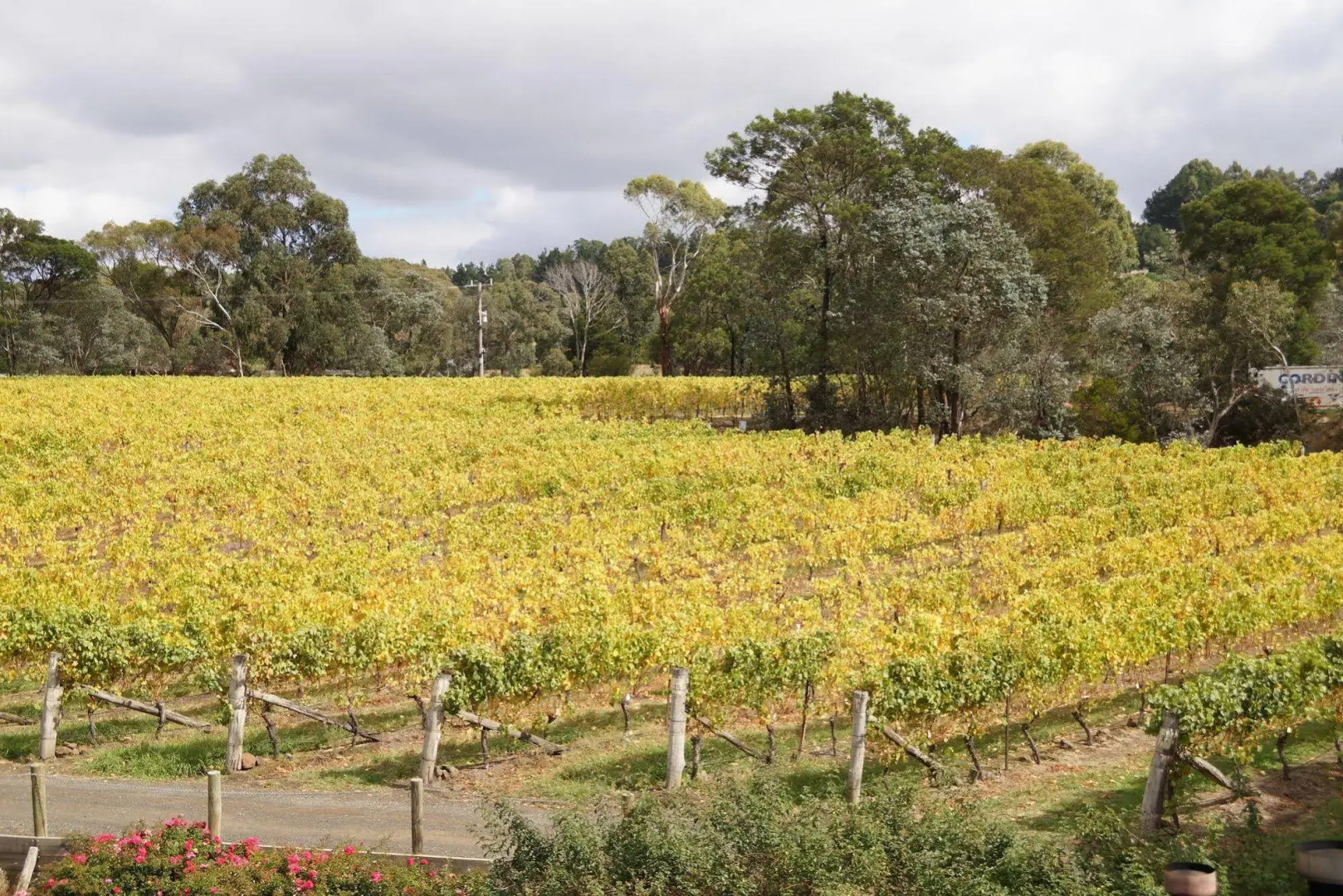 Gisborne Peak Winery Cottages