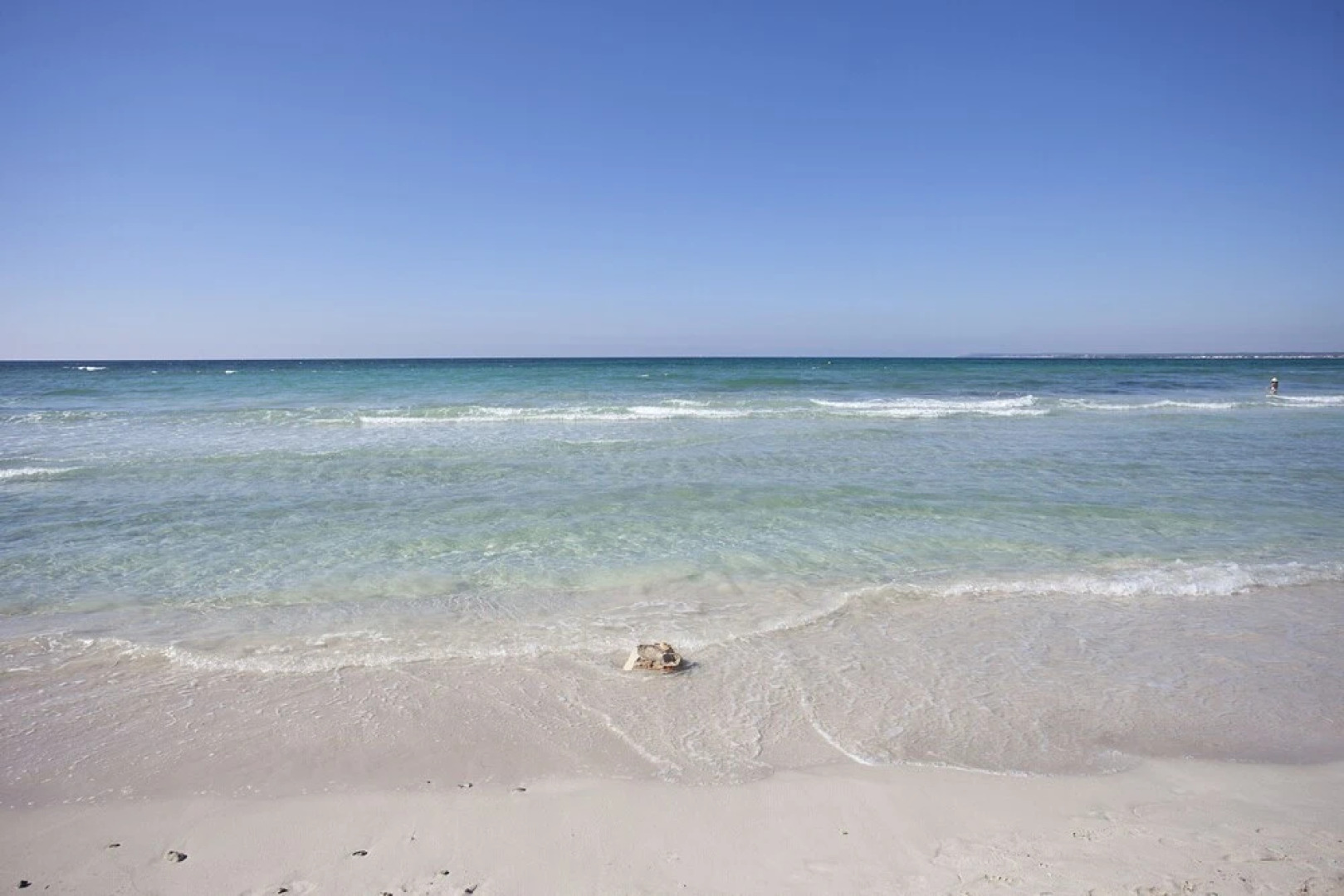 Apartaments Posidonia