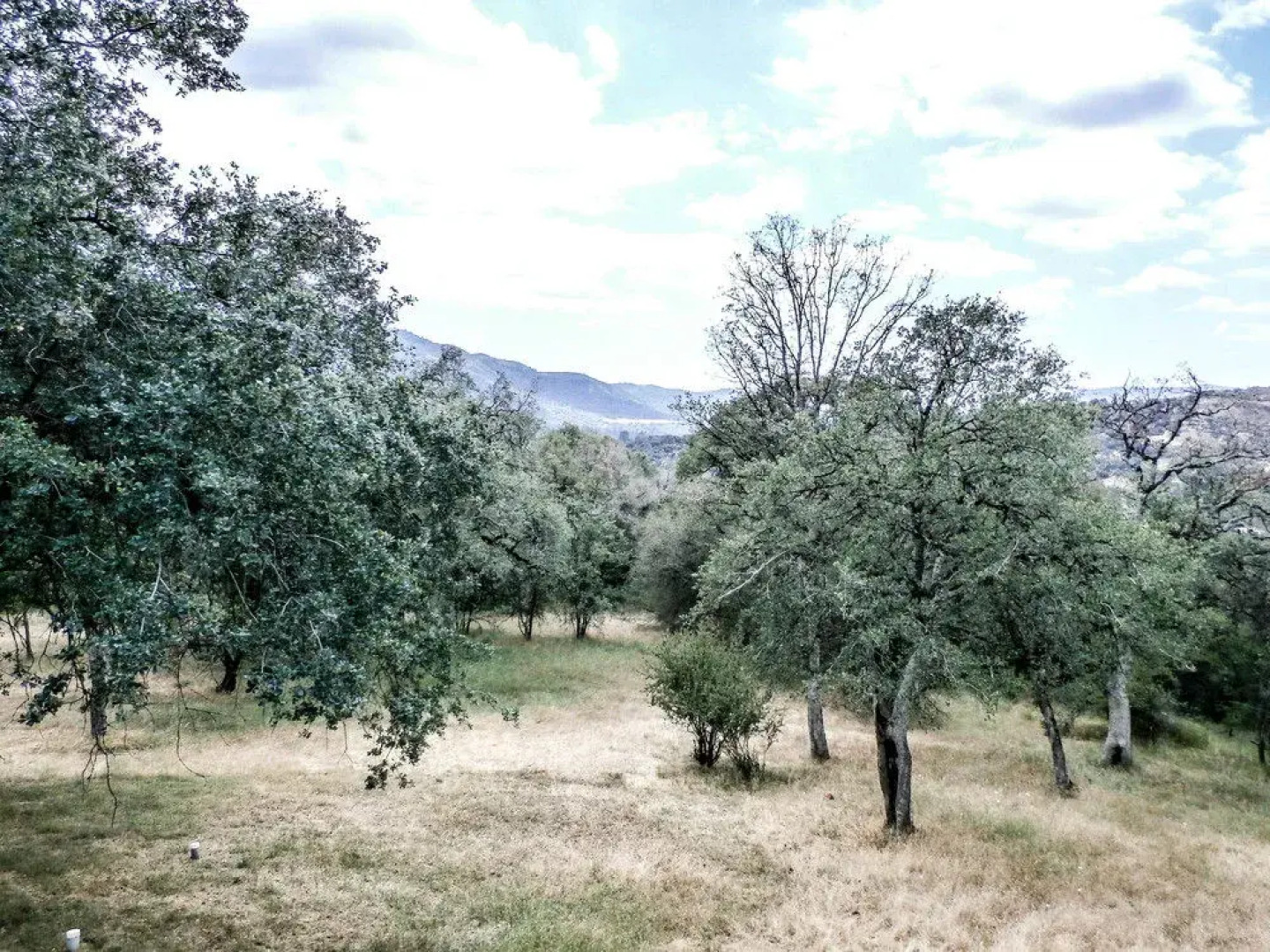 Westview Majestic View Home