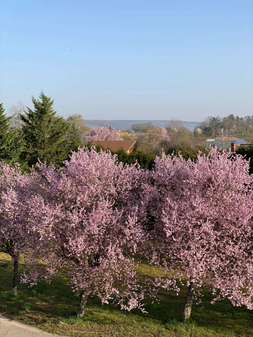 Kyriad Nuits-Saint-Georges