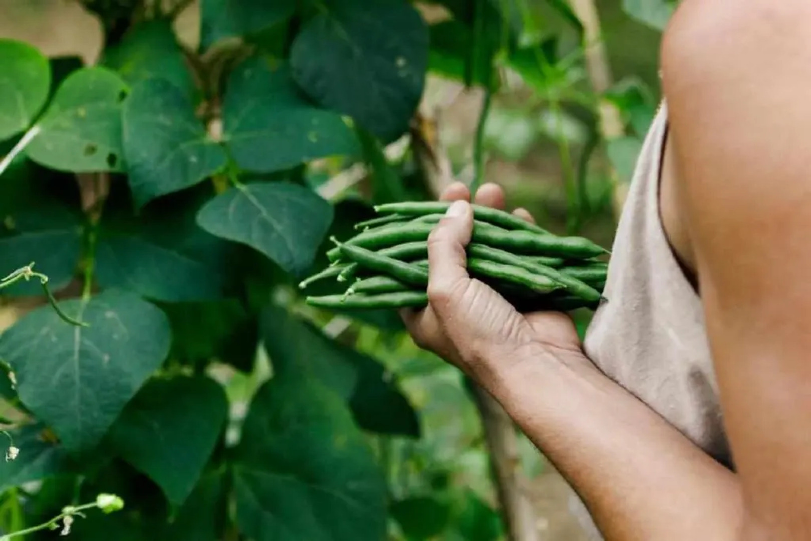 LEremo Rifugio escursionistico 10 minutes steep walk