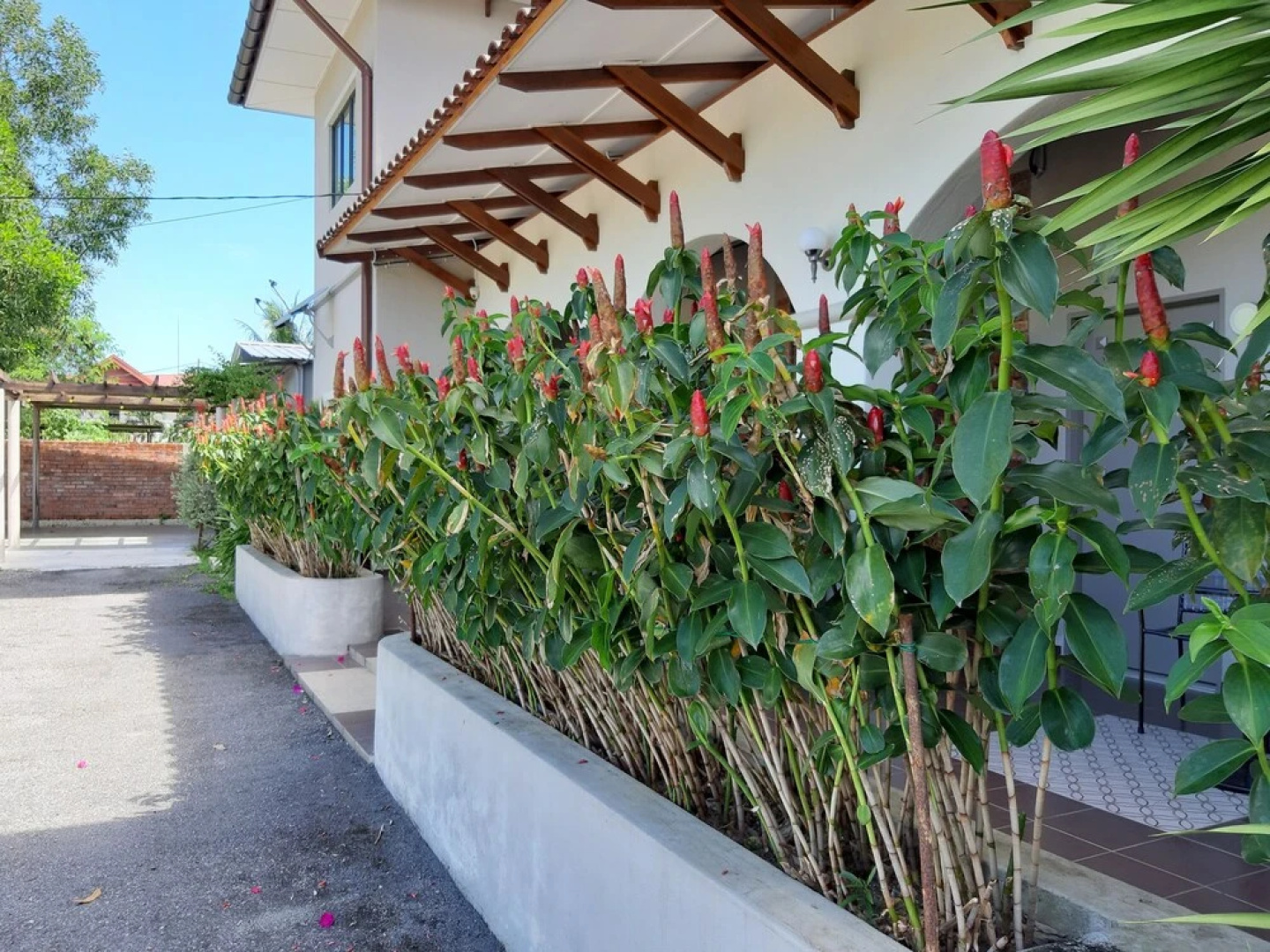 Villa 223