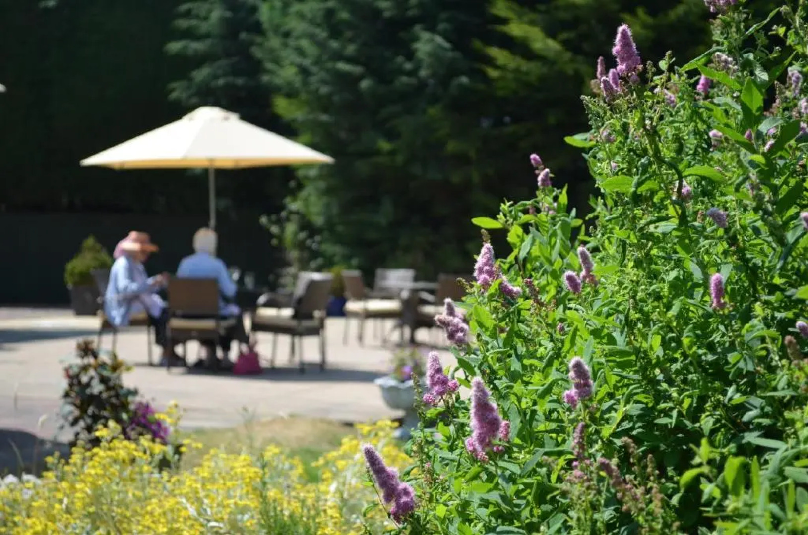 St Andrews Town Hotel