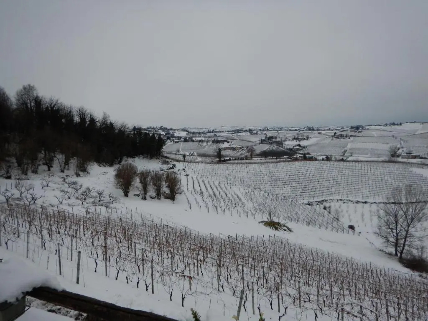 La casa del mandorlo - Patrimonio Unesco