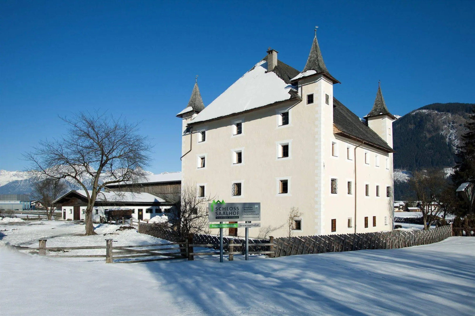 Castle Saalhof