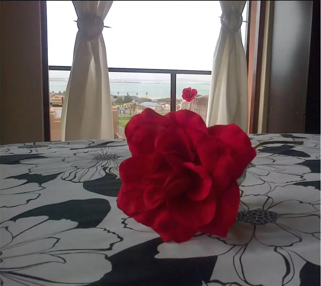 Saldanha Bay Vintour