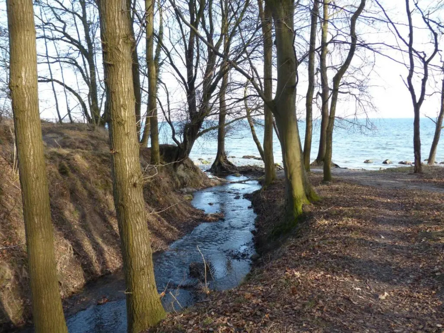 Ostseestudio Sierksdorf