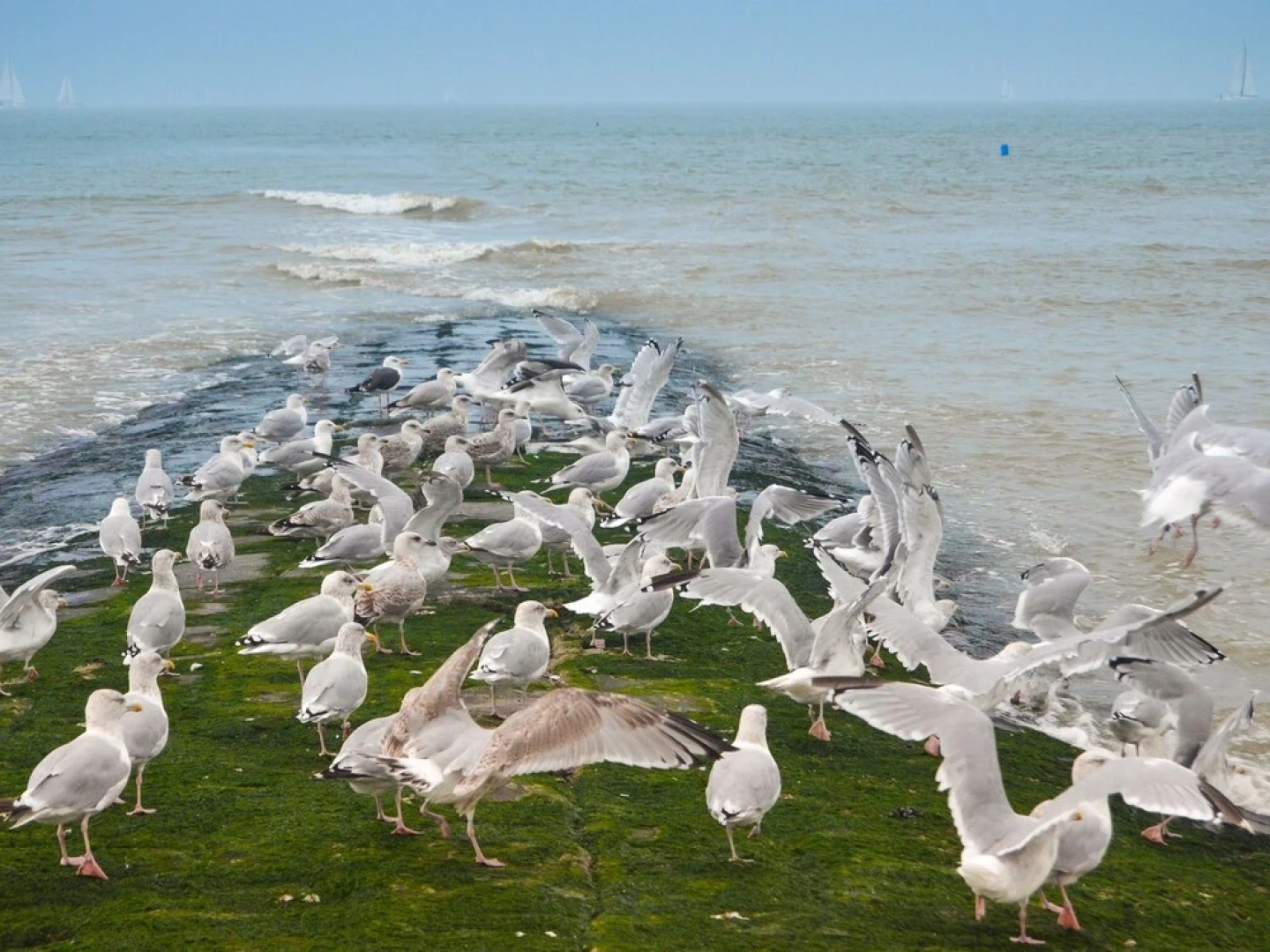 Modern Apartment With a Microwave, Near the Sea