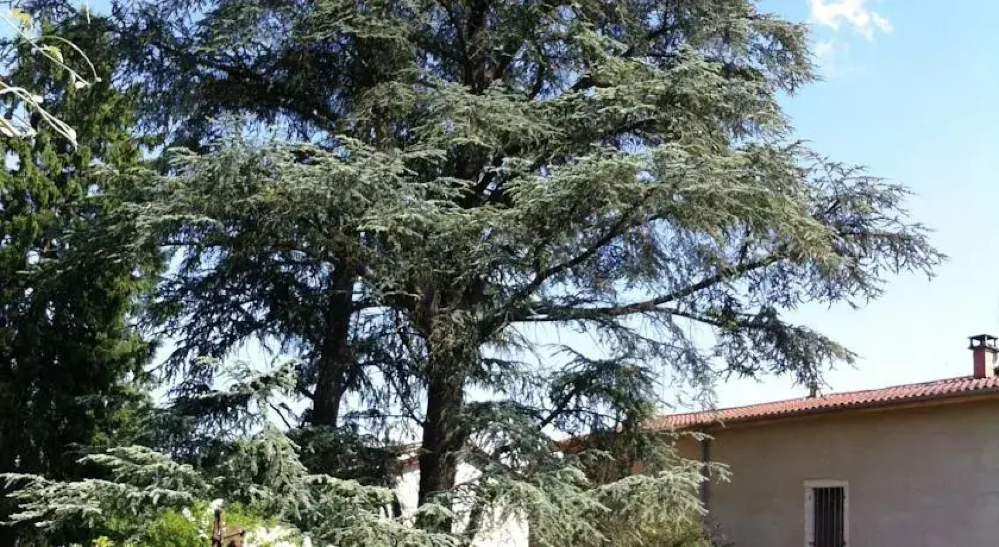 Entre Lyon et Beaujolais