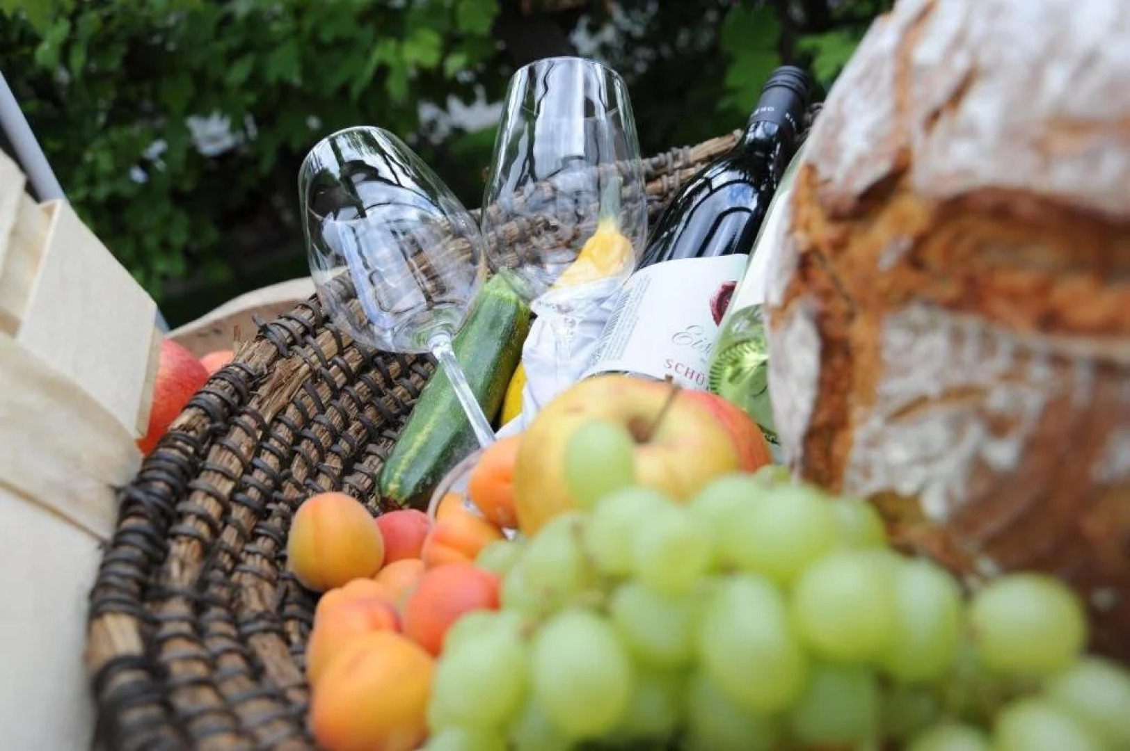 Domizil am Zellenberg