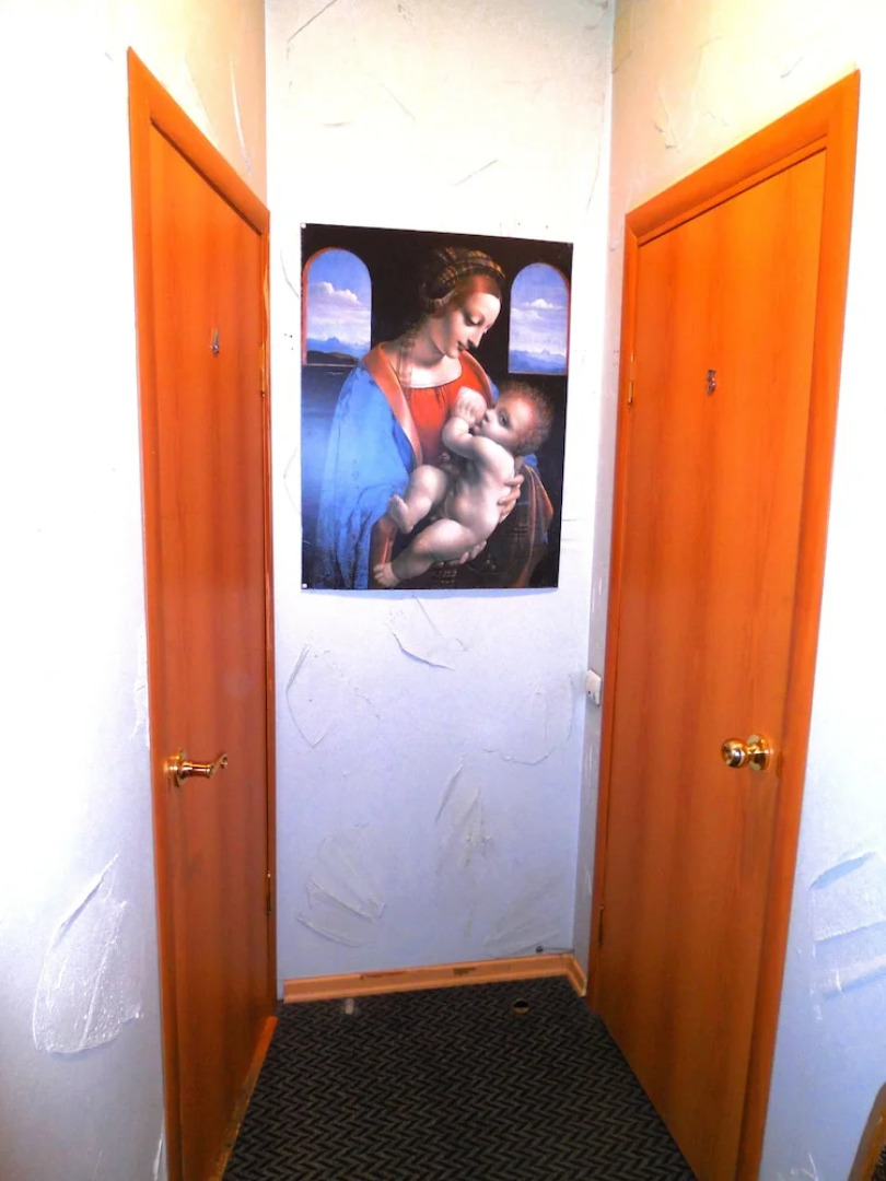 Меблированные комнаты Da Vinci 