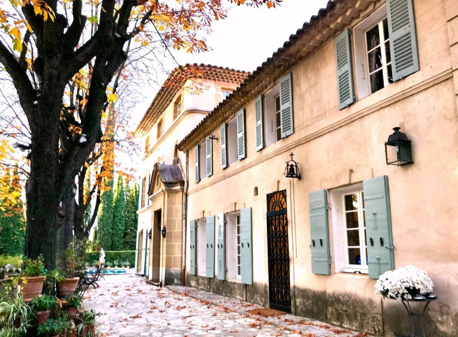 The Provence Experience