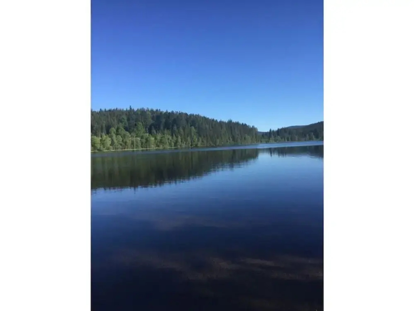 Appealing Apartment in Lenzkirch