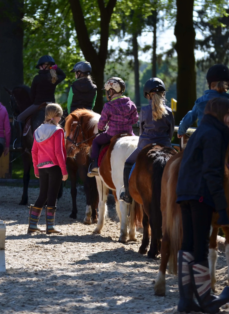 Ponyhof Georgenbruch