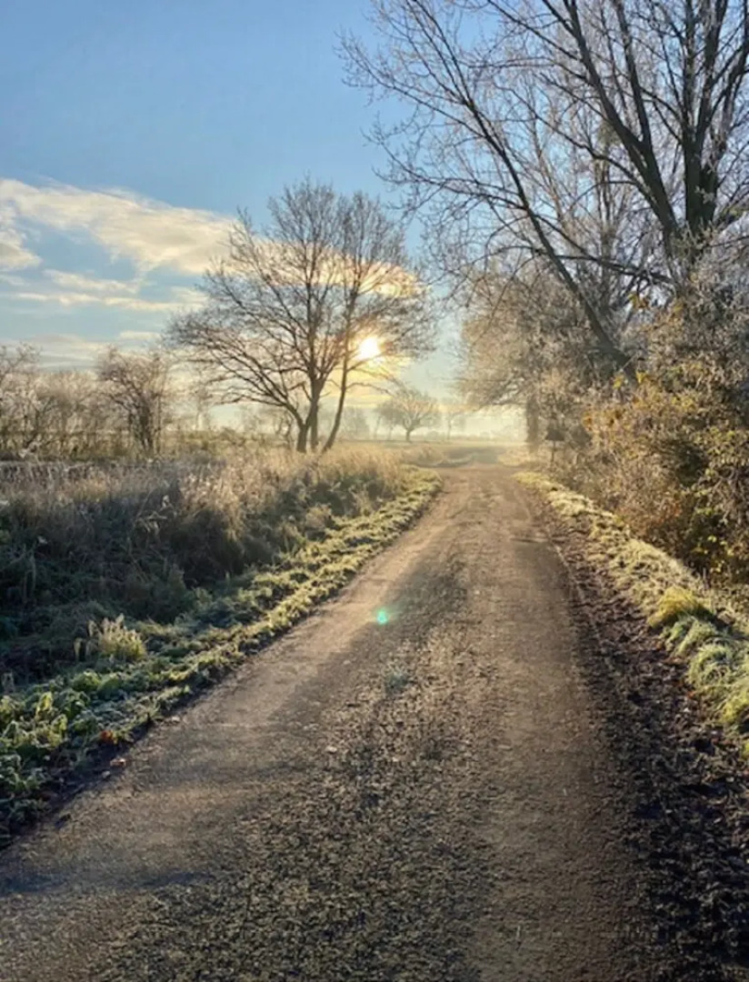 Suffolk Shepherds Huts