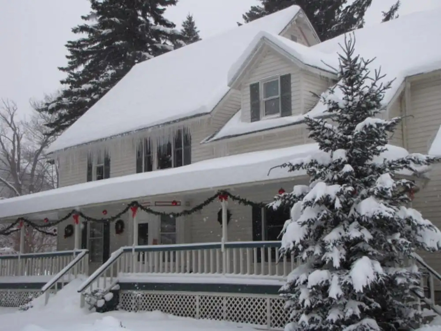 The Ilex Inn Bed & Breakfast
