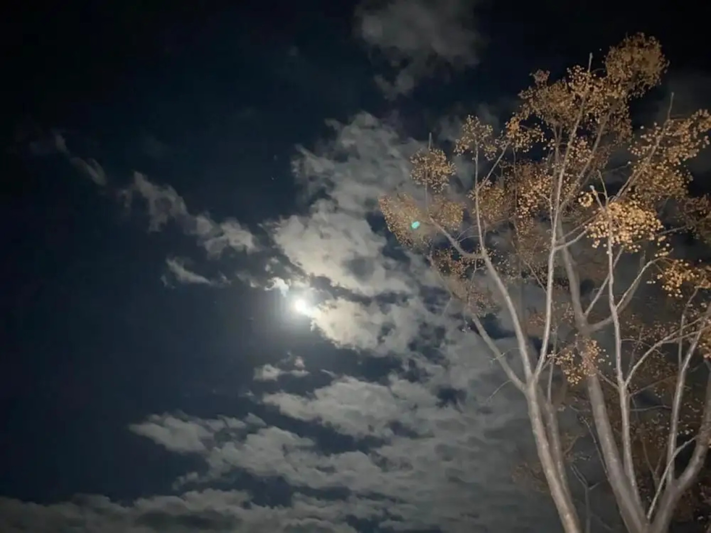 Safa Boulaouane Eco-Lodge