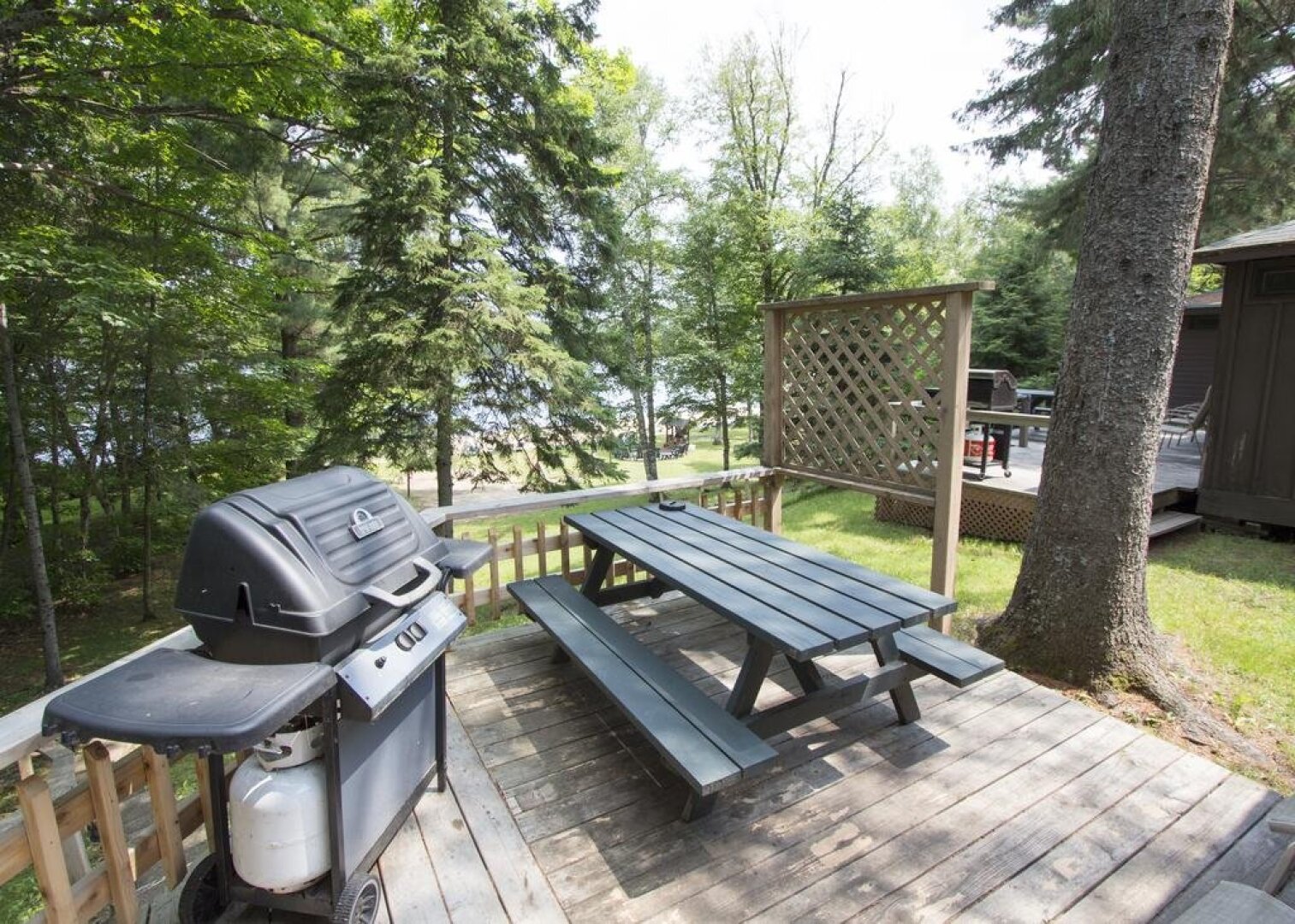 The Pines Cottage Resort