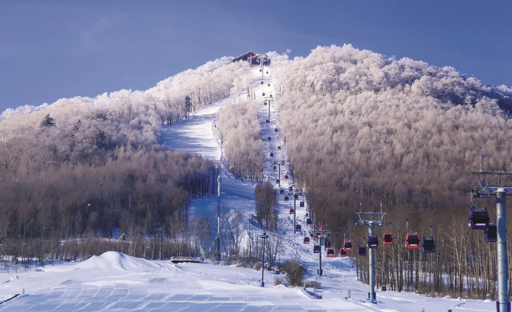 The Westin Changbaishan Resort