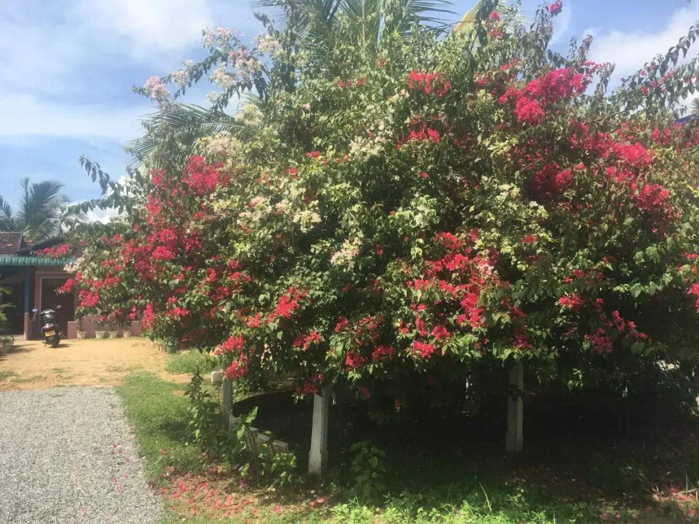 Kalkudah Budget Hotel