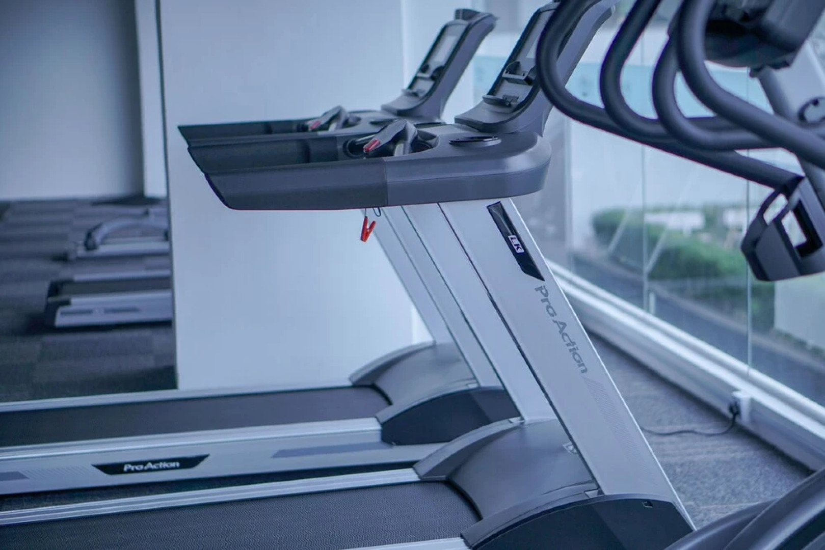 The Khailily's Guest