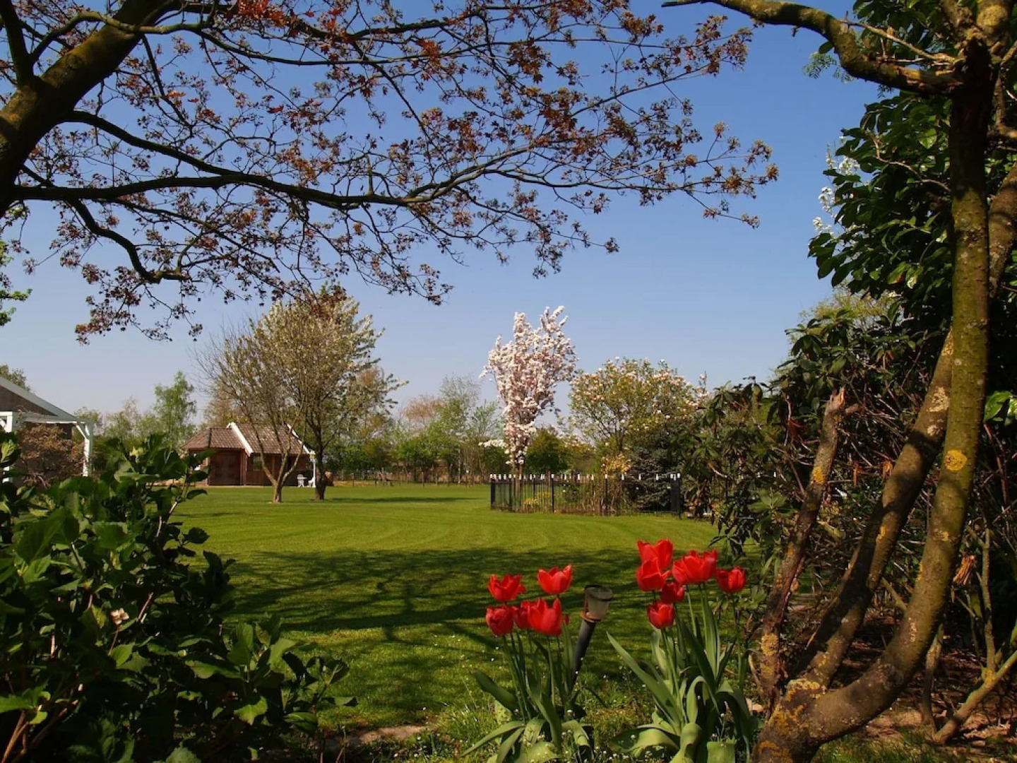 Modern Holiday Home in Oeffelt with Sauna