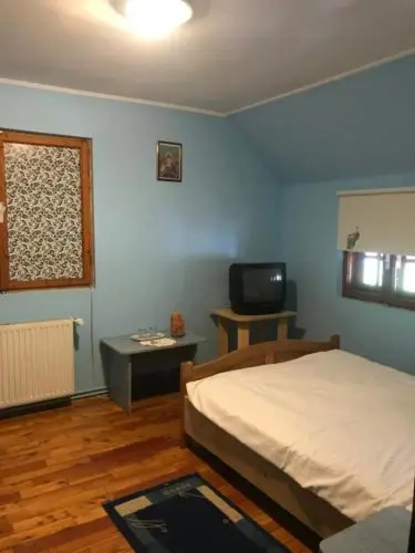 Pensiunea Indra Sinaia