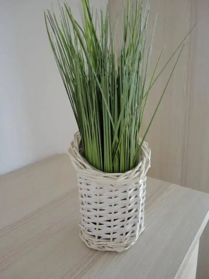 Riga Apartment in the Heart of City