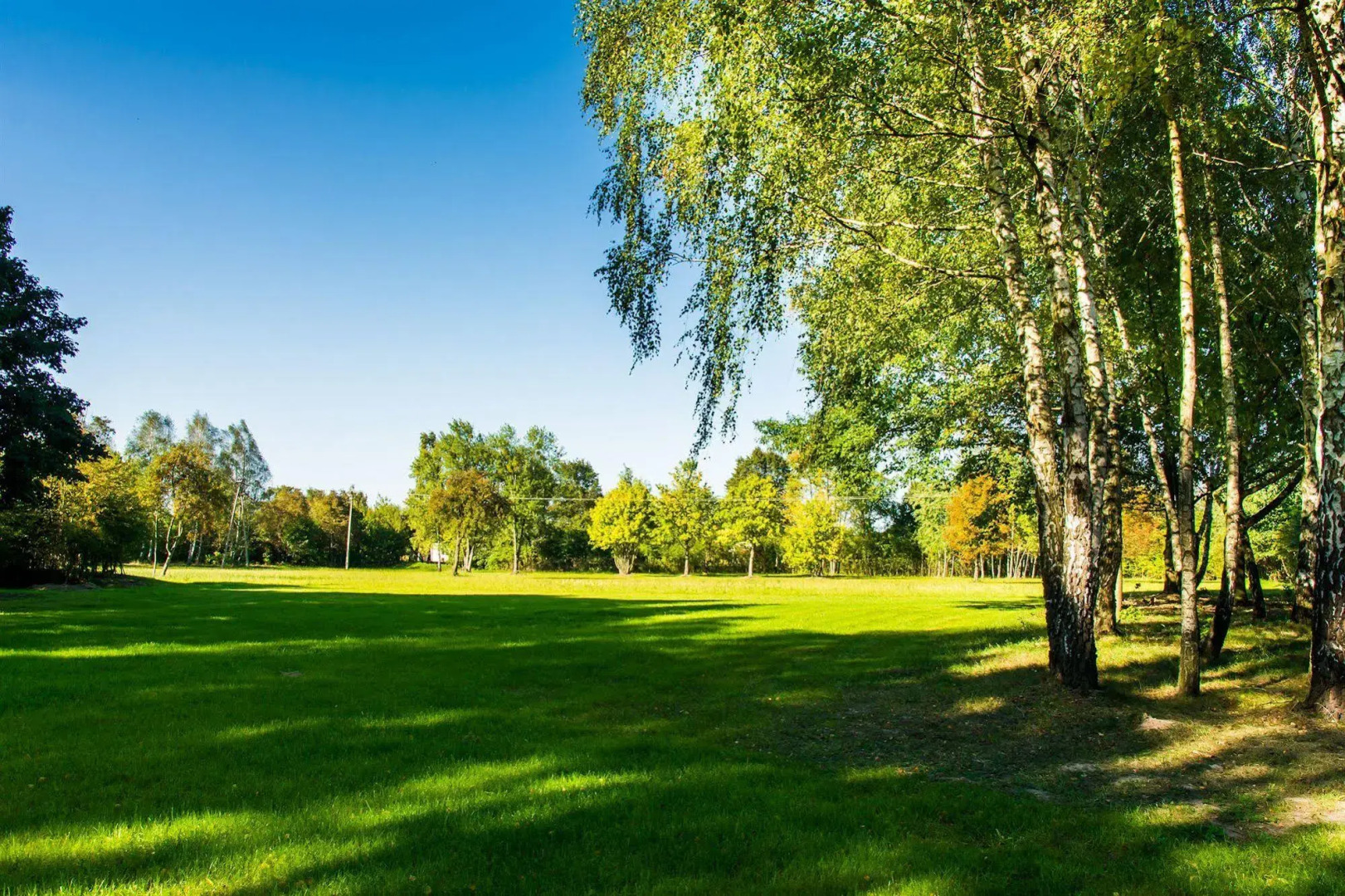 Windsor Palace Hotel