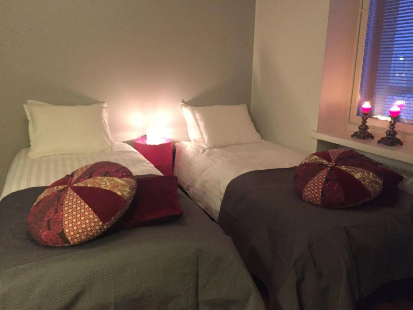 Sauna Apartment in the Heart of the City