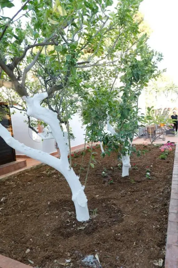 Airport sicily home palermo