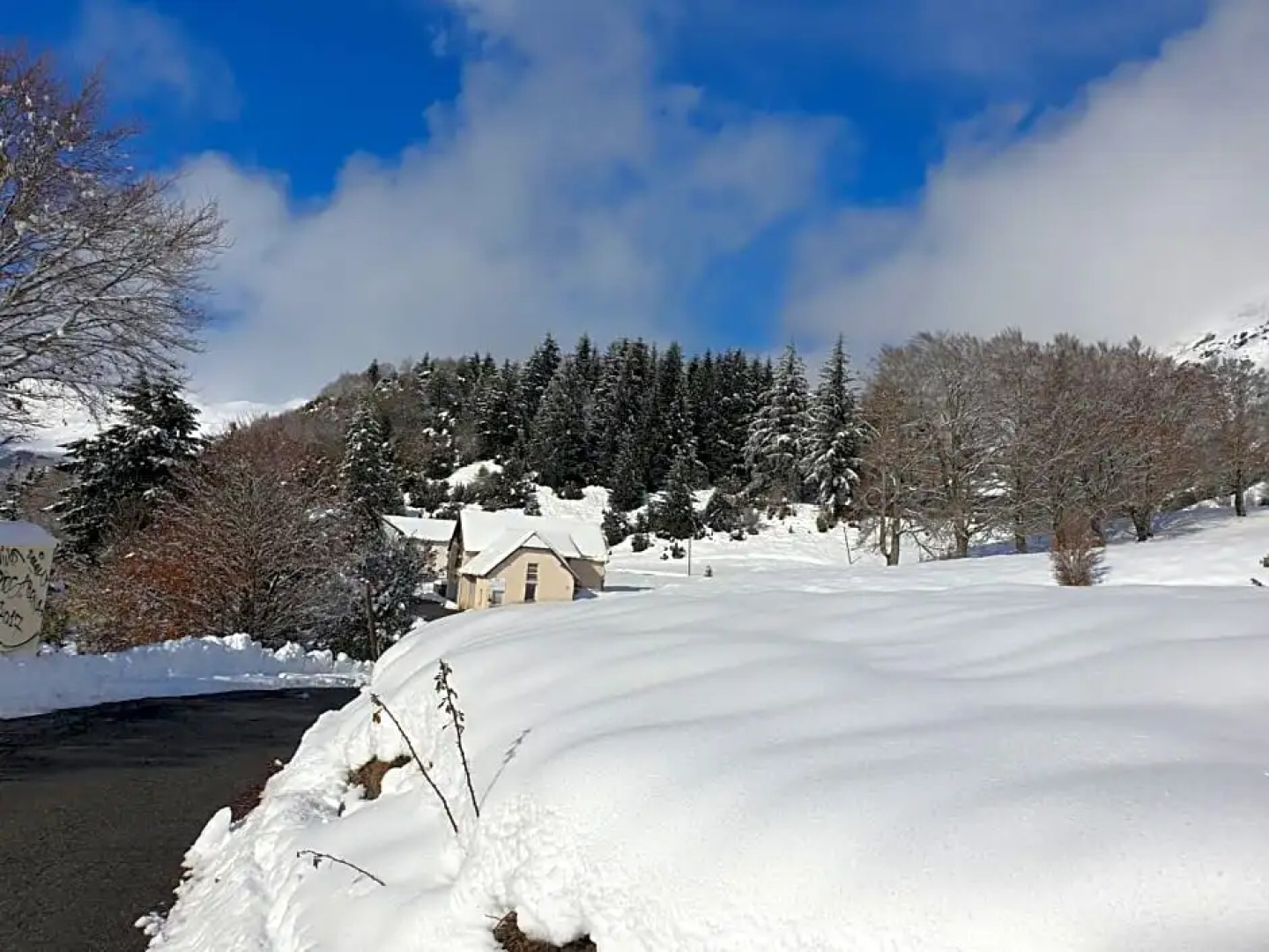 Association Peyranère