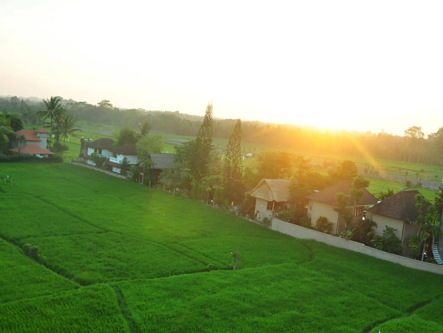 The Evitel Resort Ubud